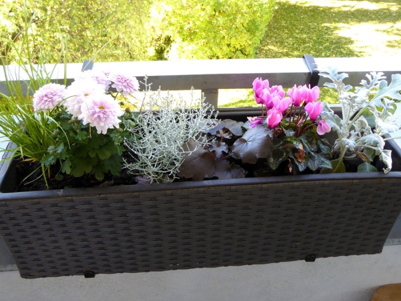 Balkon: Müssen Blumenkästen jetzt nach innen? Das sagt das Gesetz