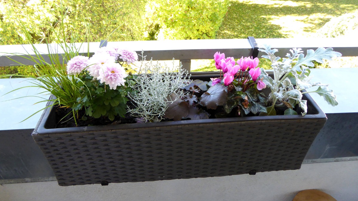 ein Blumenkasten hängt innen an einem Balkongeländer