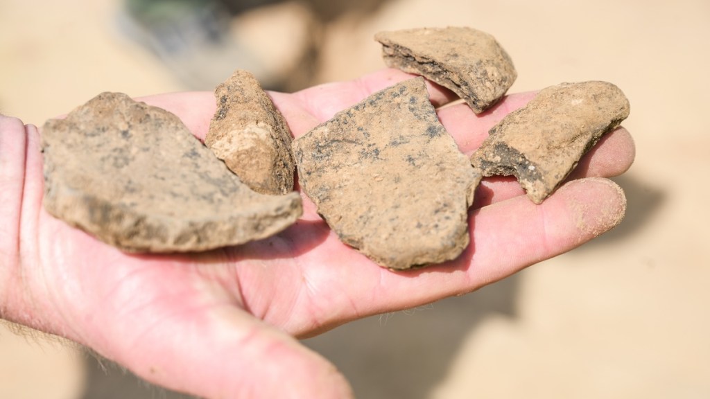 Muscheln, Steine oder Keramik