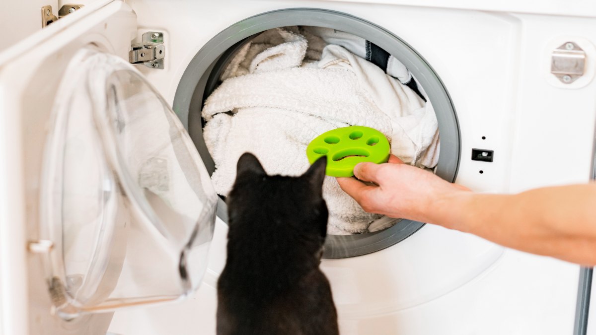 Eine Katze sitzt vor einer Waschmaschine.